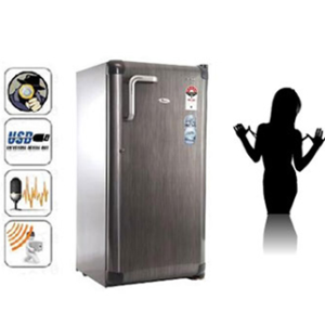 Spy Refrigerator Camera